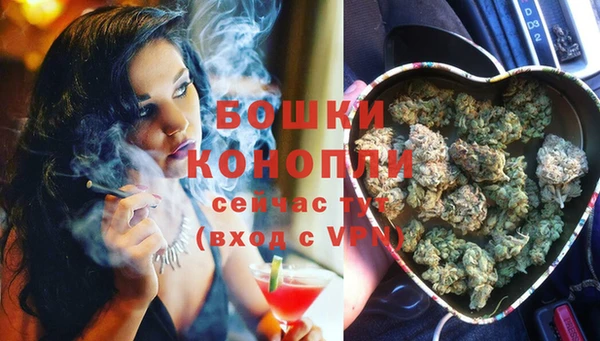 гашик Медвежьегорск