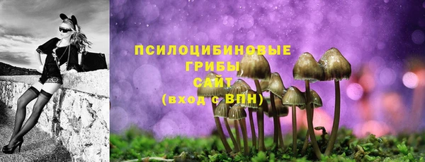 герыч Медногорск