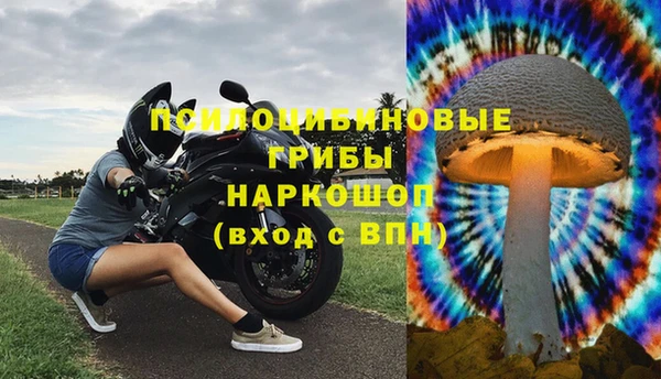 гашик Медвежьегорск