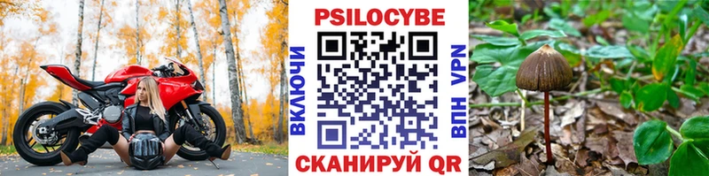 Псилоцибиновые грибы Psilocybine cubensis  darknet состав  Норильск 