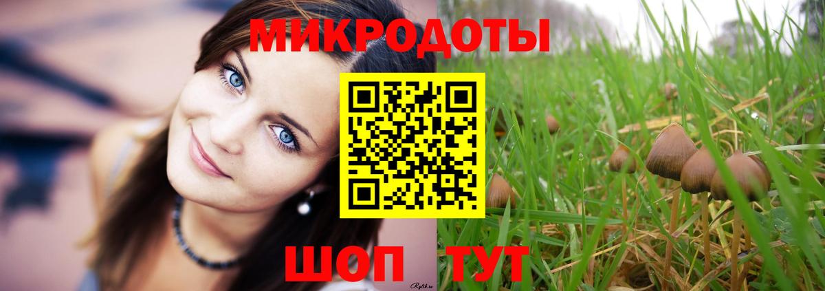 Псилоцибиновые грибы мухоморы Норильск